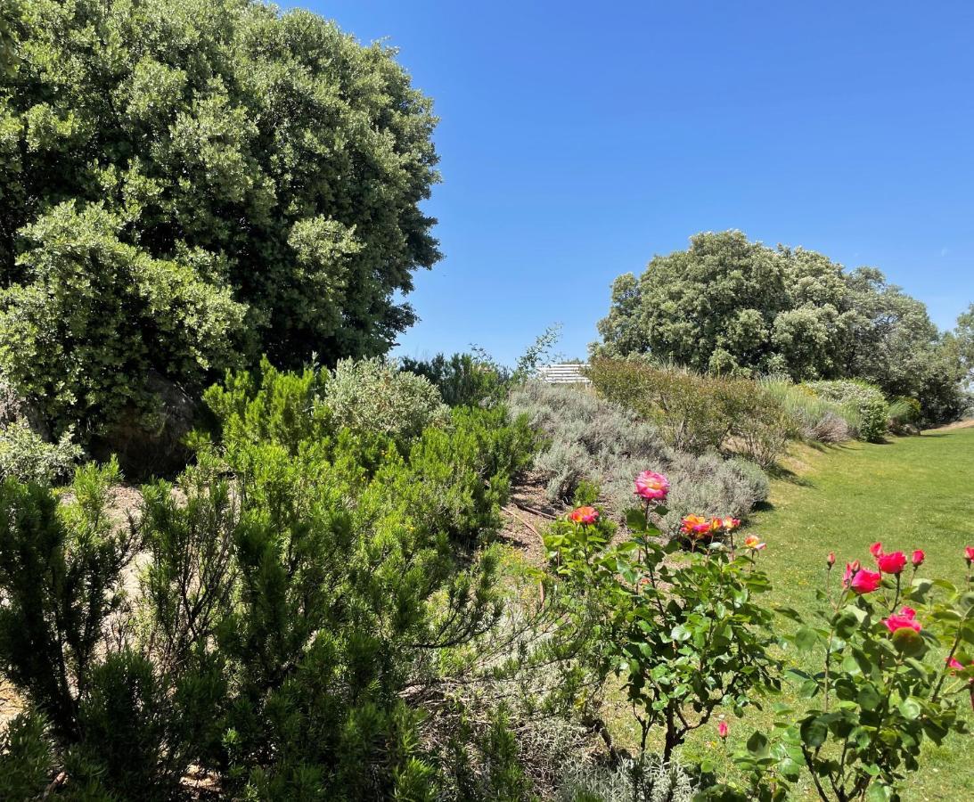 El Encinar De Gabino Villa Zarzuela del Monte Eksteriør bilde